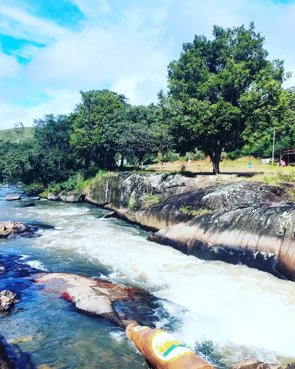 Banho da Cerveja